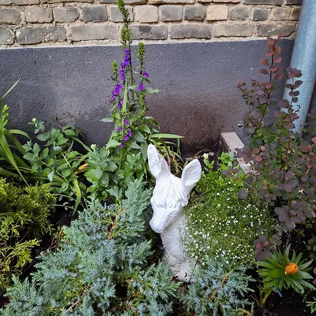 Newly Made With Private Entrance - 1st Floor Διαμέρισμα Ρίγα