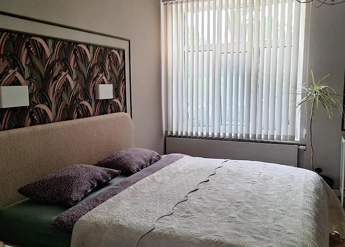 Newly Made With Private Entrance - 1st Floor Apartment