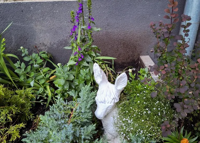 Newly Made With Private Entrance - 1st Floor Dzīvoklis Riga